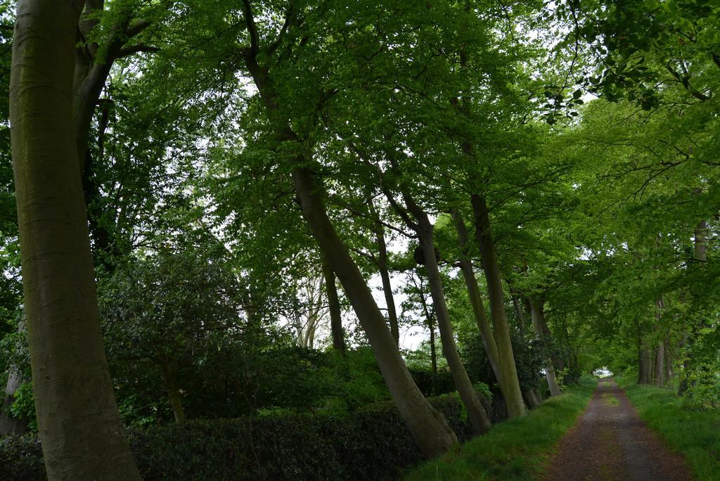 Vakantiewoning Monnikenhoeve Landhuis